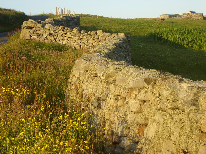 Classic Drystane Dyke In Summer Evening Ruth Sharville Cc By Sa