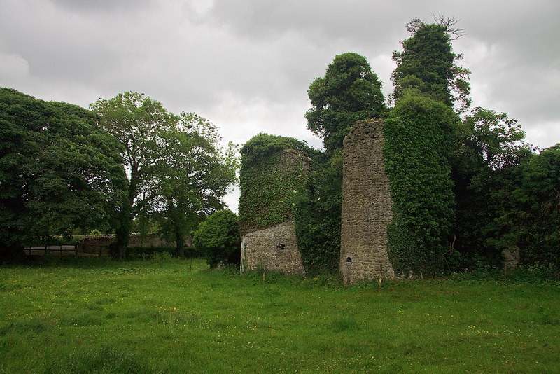 Castles Of Leinster Castle Jordan Mike Searle Cc By Sa 2 0