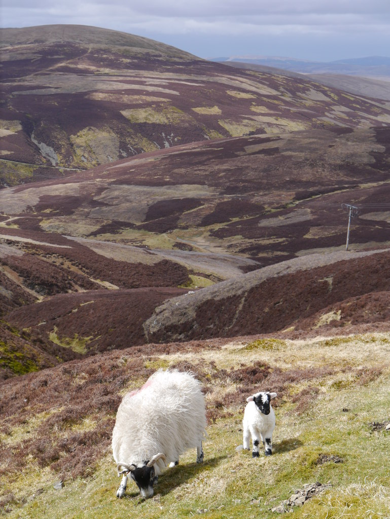 Lowther Hills Residents James T M Towill Cc By Sa 2 0 Geograph