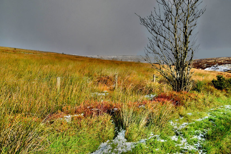 A Very Light Dusting Of Snow At Faccary Kenneth Allen Cc By Sa 2 0