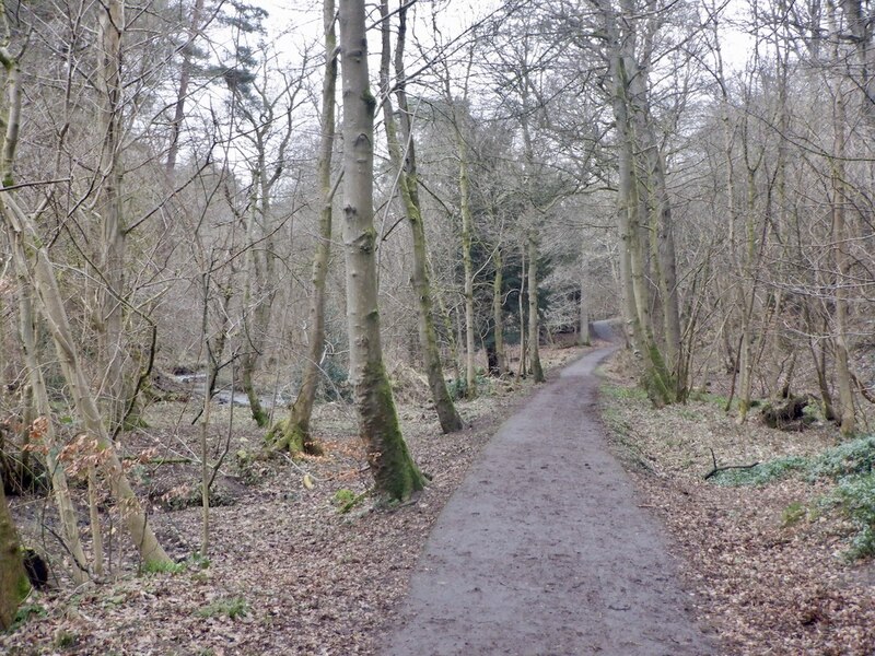 Path Lady S Wood Richard Webb Cc By Sa Geograph Britain And