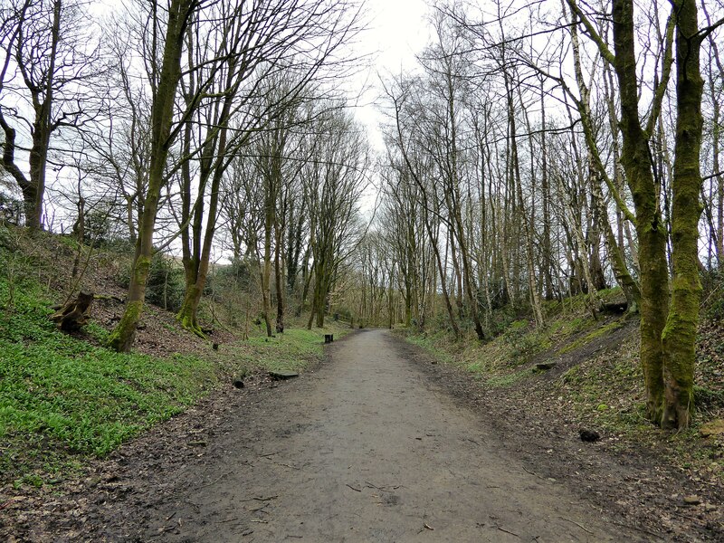 Route Of Former Railway At Lower Arthurs Kevin Waterhouse Cc By Sa 2