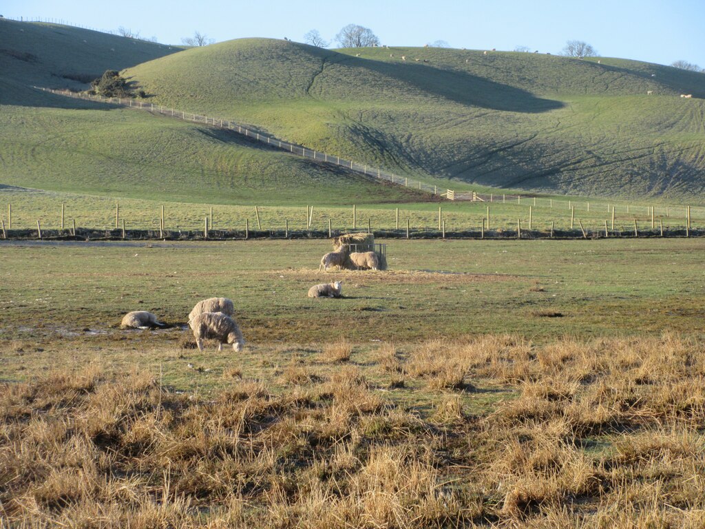 Feeding Sheep Scott Cormie Cc By Sa 2 0 Geograph Britain And Ireland