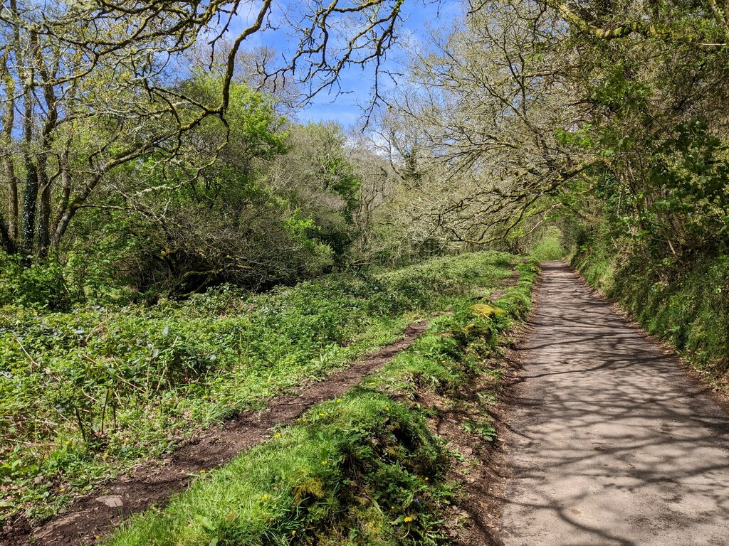 Track On The West Side Of The Castle Rob Purvis Cc By Sa 2 0