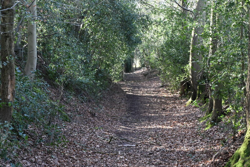 Wooded Bridleway N Chadwick Cc By Sa Geograph Britain And Ireland