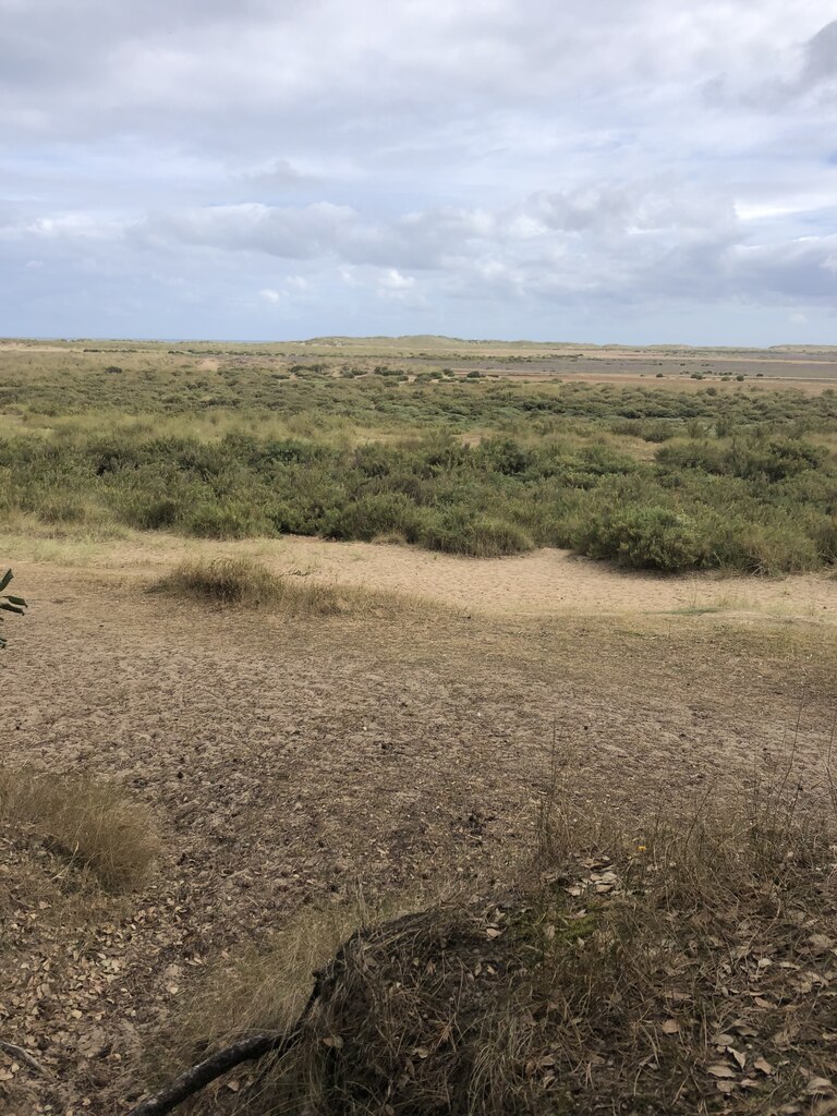 Dunes At Holkham Beach Eirian Evans Cc By Sa Geograph Britain