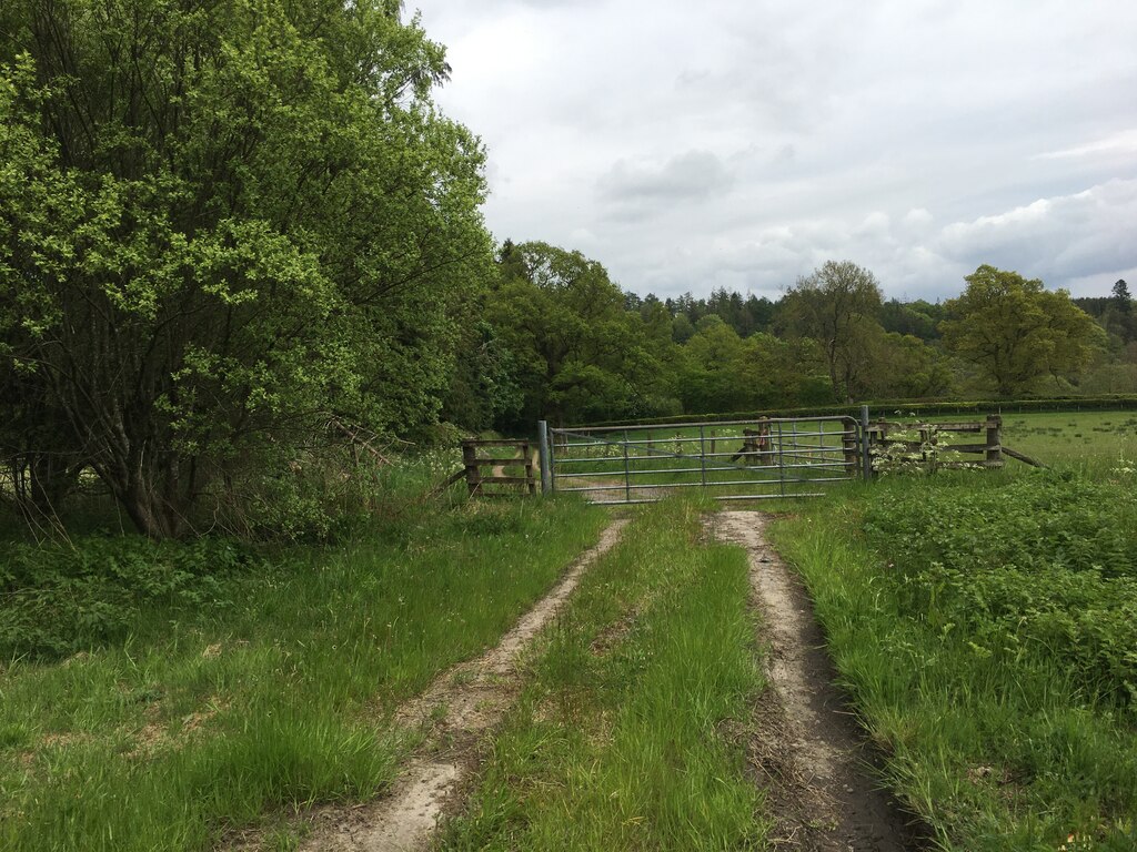 Gated Farm Track Near Enthorn Steven Brown Cc By Sa 2 0 Geograph