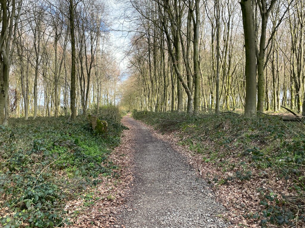 Wayfarer S Walk In Bull S Bushes Copse Mr Ignavy Cc By Sa