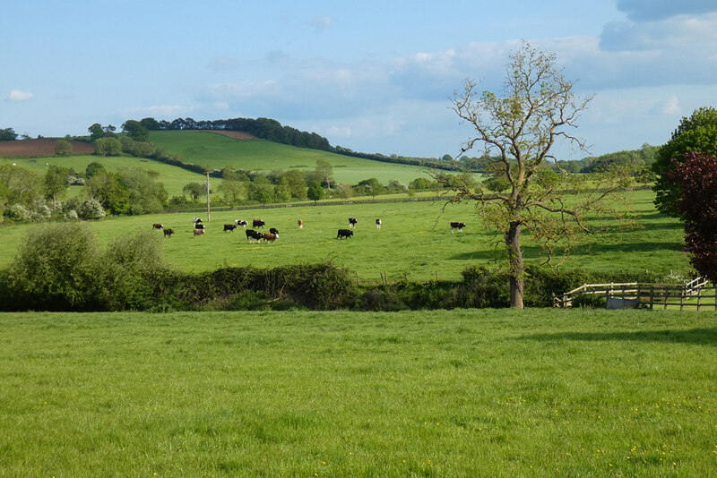 Pasture Dorton Andrew Smith Cc By Sa 2 0 Geograph Britain And Ireland