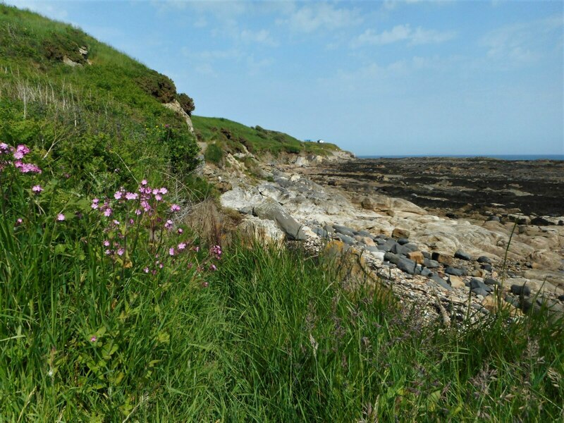 Coast West Of Pittenweem Richard Sutcliffe Cc By Sa Geograph