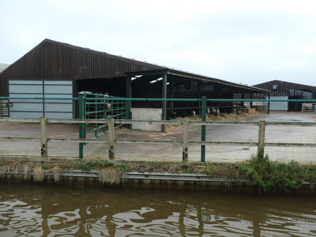 Indoor Cattle Chells Hill Farm Christine Johnstone Cc By Sa