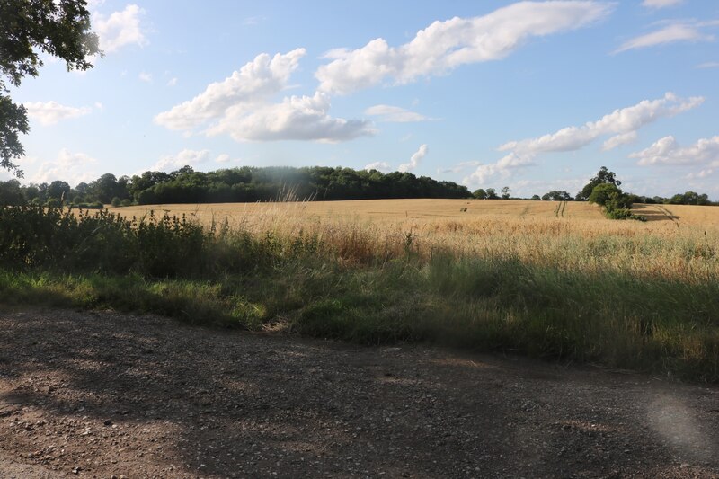 Field By Mentley Lane West Puckeridge David Howard Cc By Sa