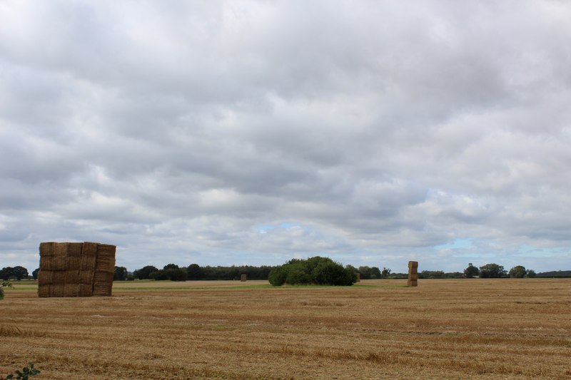 Large Field Beside Sand Lane Chris Heaton Cc By Sa 2 0 Geograph