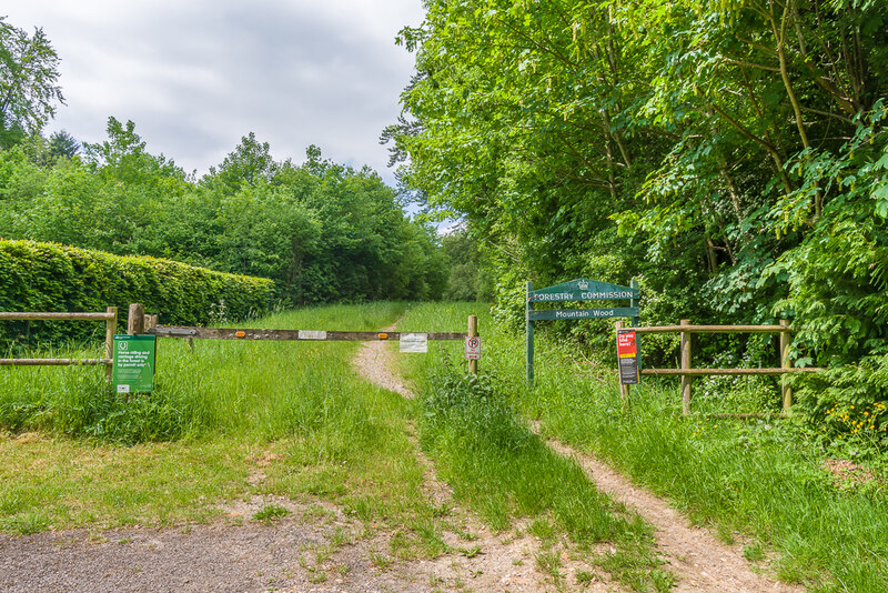 Mountain Wood Ian Capper Cc By Sa 2 0 Geograph Britain And Ireland