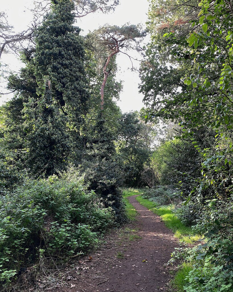 Oakwood Grove Warwick Robin Stott Cc By Sa 2 0 Geograph Britain