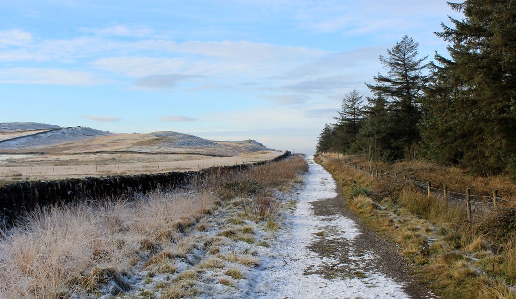 Skipton Moor Lane Beside Back Plantation Chris Heaton Cc By Sa