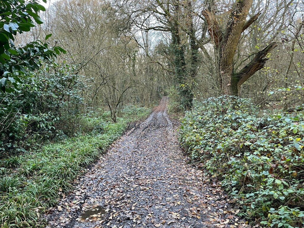 Track Footpath Entering Hurst Copse Mr Ignavy Cc By Sa