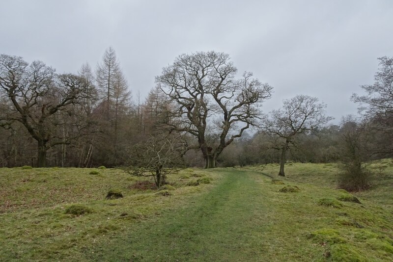 Path In High Park Ds Pugh Cc By Sa Geograph Britain And Ireland