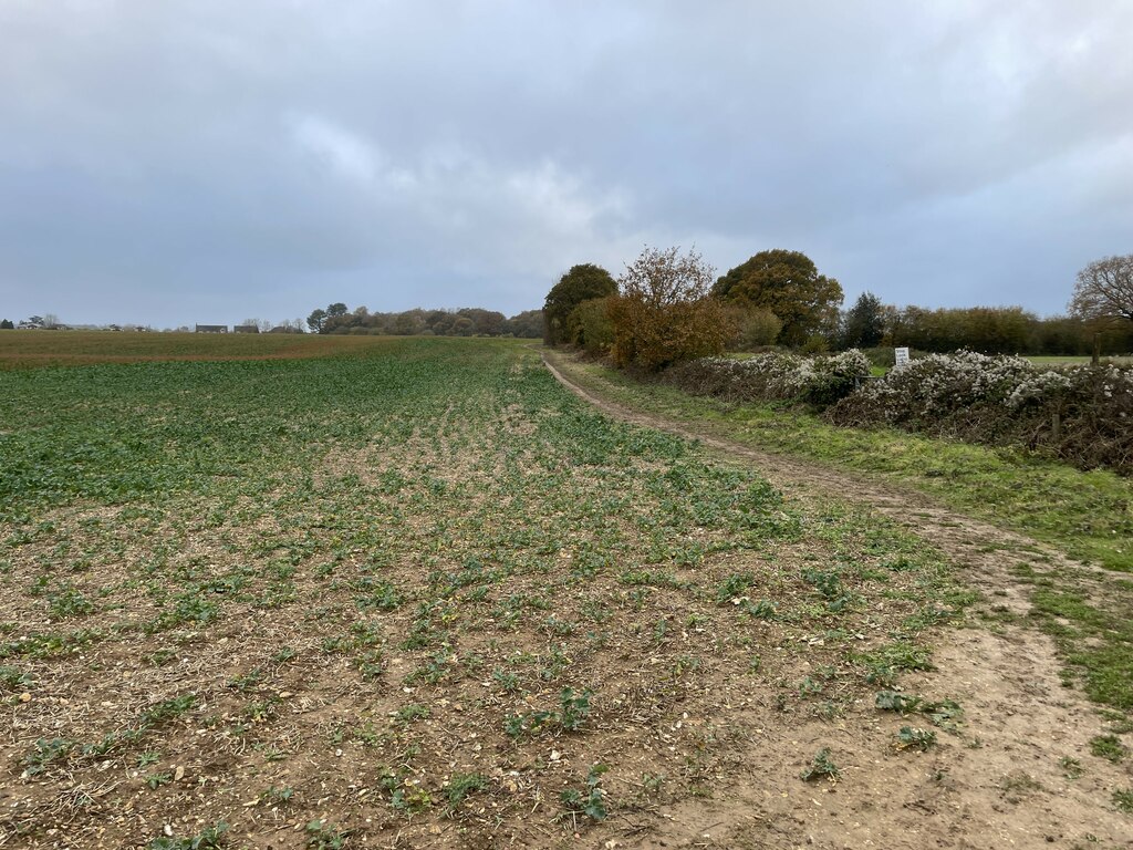 Northern Edge Of St John S Field 41 Mr Ignavy Cc By Sa 2 0