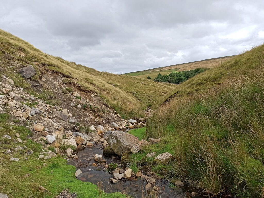 Rowantree Gill Dani Cc By Sa Geograph Britain And Ireland