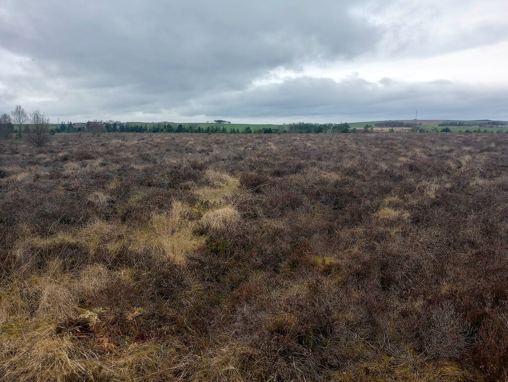 Blacklaw Moss Jim Smillie Cc By Sa Geograph Britain And Ireland