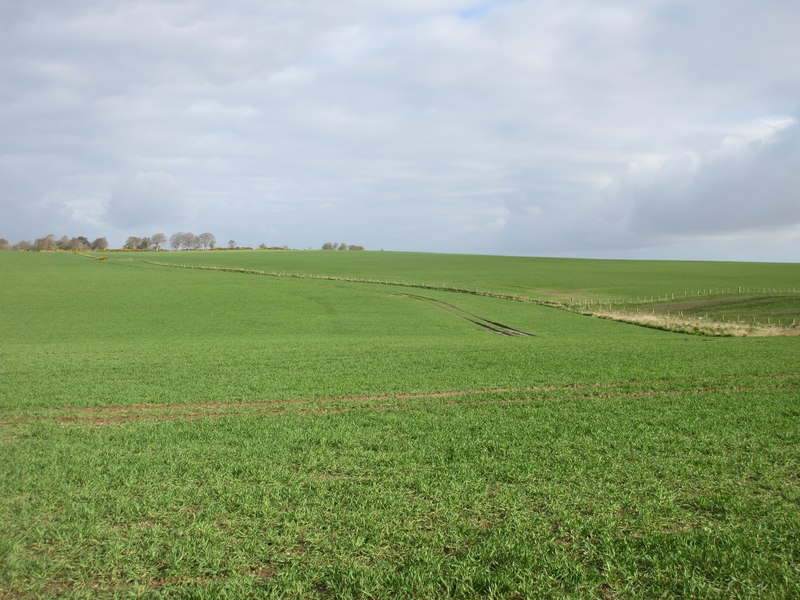 Green Field Near Woodcroft Scott Cormie Cc By Sa 2 0 Geograph