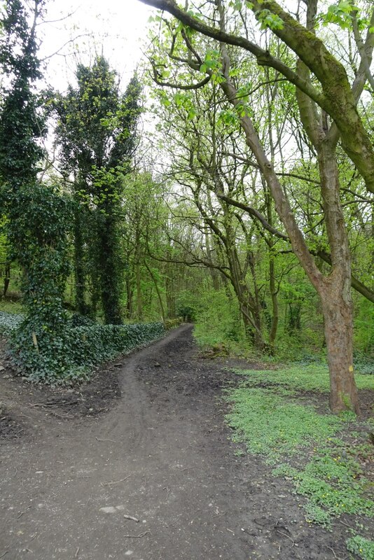 Bridleway Near Hunger Hill Bridge DS Pugh Cc By Sa 2 0 Geograph