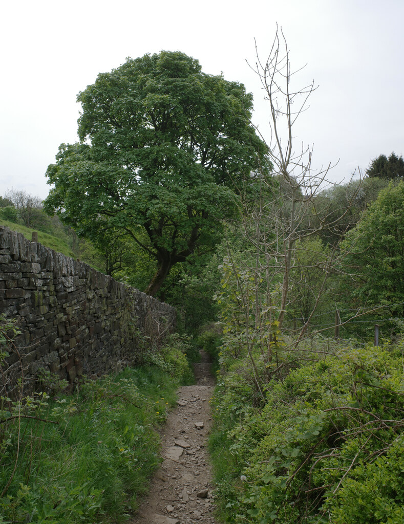 The Path To Shibden Head From Hazel Habiloid Cc By Sa