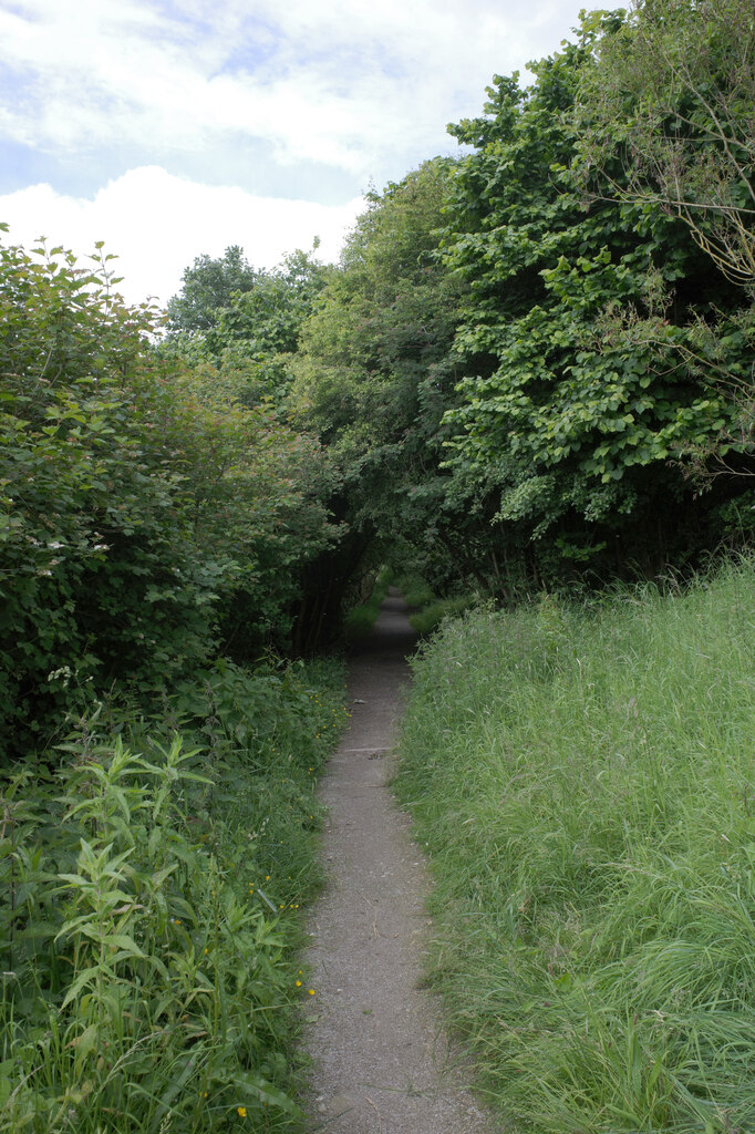 Path Pitty Beck Wetlands Allerton Habiloid Cc By Sa