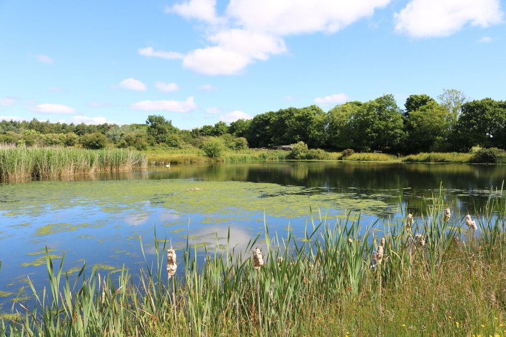 Pond Near Thornton Bill Kasman Cc By Sa Geograph Britain And