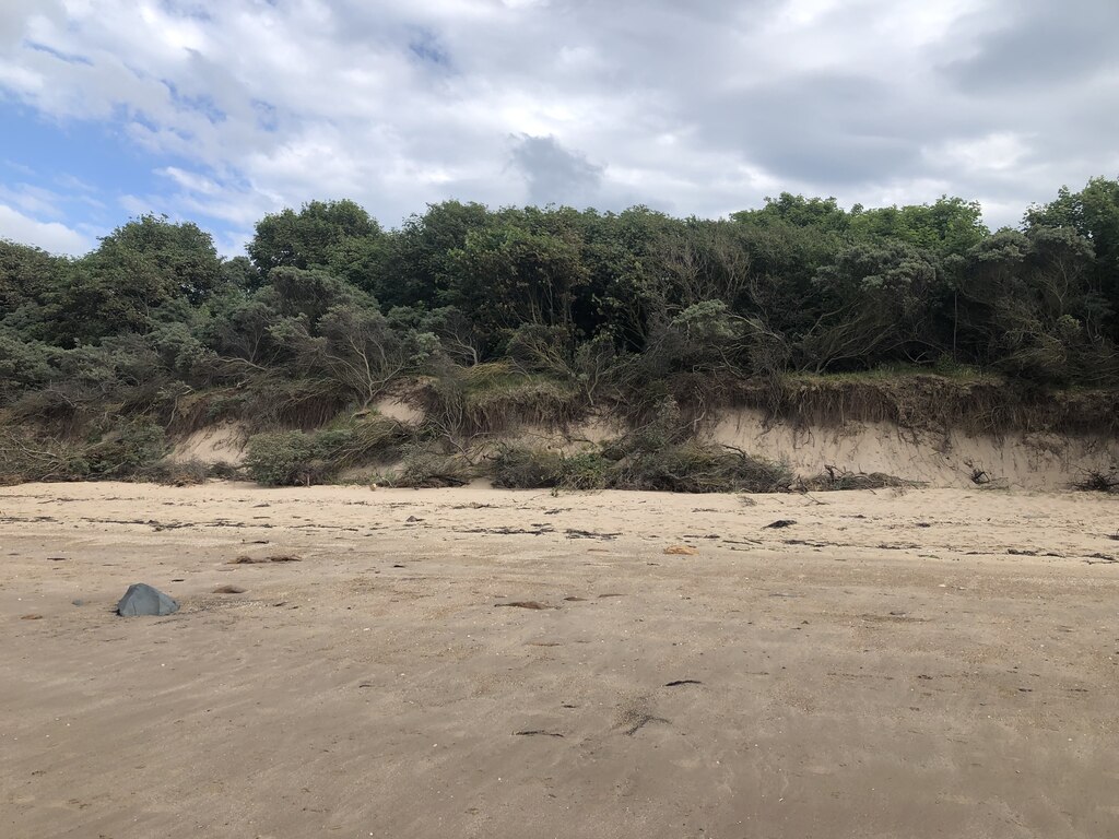 Fresh Coastal Erosion Longniddry Richard Webb Cc By Sa 2 0