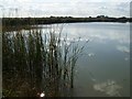 Reservoir at Belle Isle