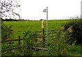 Footpath by Greendale Farm