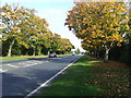 Woodbridge bypass