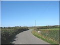 Road east of Pen Bont cottage