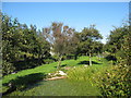 Garden at Pandy Cymunod