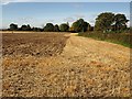 Field north of Upcott