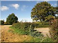 Gate onto Frethey Road