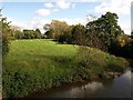 Meadow by River Tone