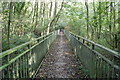 Footbridge in Woods