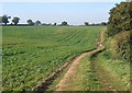 Path towards the church from Belstead village