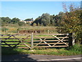 Kiln Meadow from Bobbits Lane