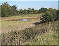 Low lying field by the A137