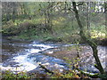 Calder Water in Calderglen Country Park