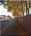 Autumn along Milligan Road