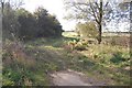 Footpath Junction near Cobler