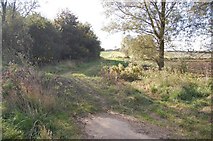 TL6919 : Footpath Junction near Cobler's Green by Trevor Harris