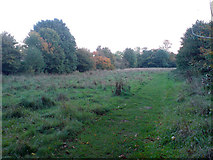 TL8562 : The Meadow, adjacent to Hardwick Heath by Greg Aspland