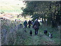 Beaters exiting the glen by Ardonald