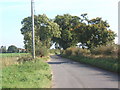 Lane towards Belstead from Copdock